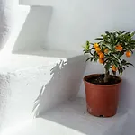Casa Do Pescador By Ammonite&co * Olhão