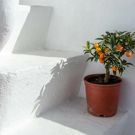 Casa Do Pescador By Ammonite&co * Olhão