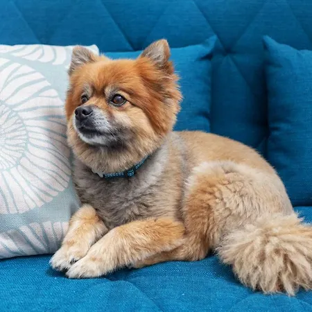 Feriehus Casa Do Pescador By Ammonite&co Olhão