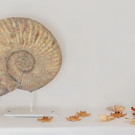 Casa Do Pescador By Ammonite&co Σπίτι διακοπών *