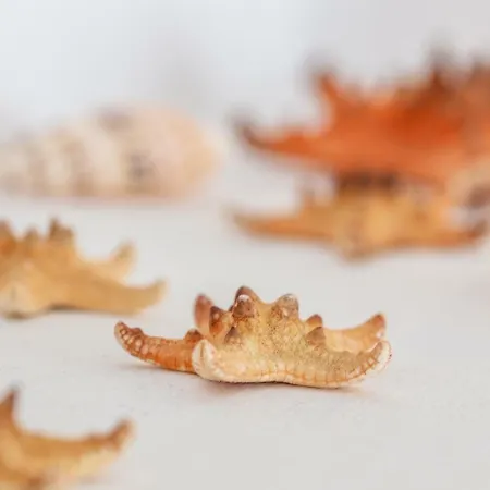 Casa Do Pescador By Ammonite&co Olhão